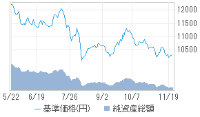 ダブル ブレイン ブル 投資信託 日経会社情報digital 日経電子版