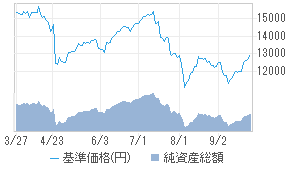 ニッセイai関連株式f 年2回 ヘッジ無 29312181 投資信託 日経会社情報digital 日経電子版